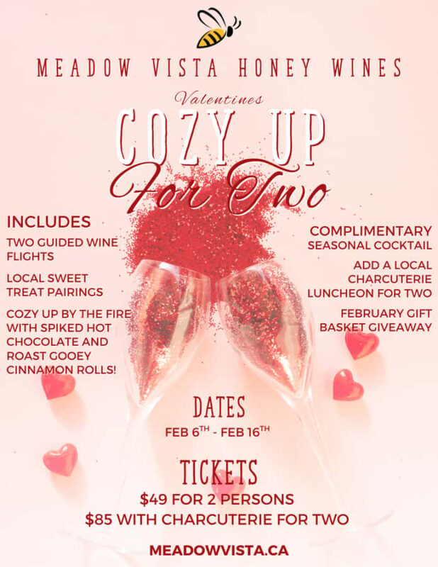Kelowna Winery: Valentine's Cozy Up For Two - Fireside Fun: Roasting Cinnamon Buns & Hot Chocolates
