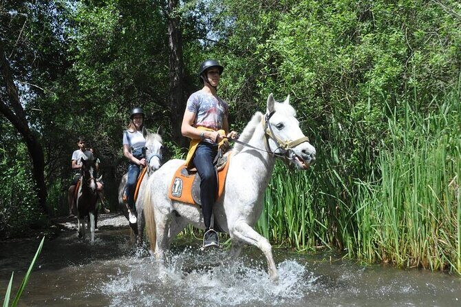 Kemer Horse Safari Experience With Free Hotel Transfer - Practical Details and Considerations