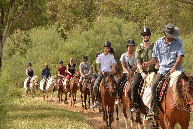 Kemer Horse Safari Experience With Free Hotel Transfer - Who Will Love This Tour?