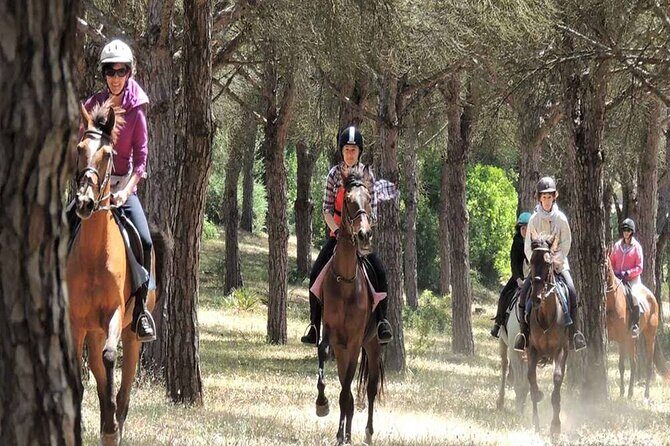 Kemer Horse Safari Experience With Free Hotel Transfer - The Sum Up