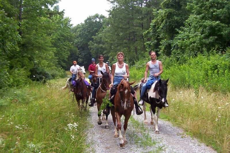 Kemer Horse Safari, pick up from Kiris, Beldibi, Goynuk - Exploring the Kemer Horse Safari in Detail