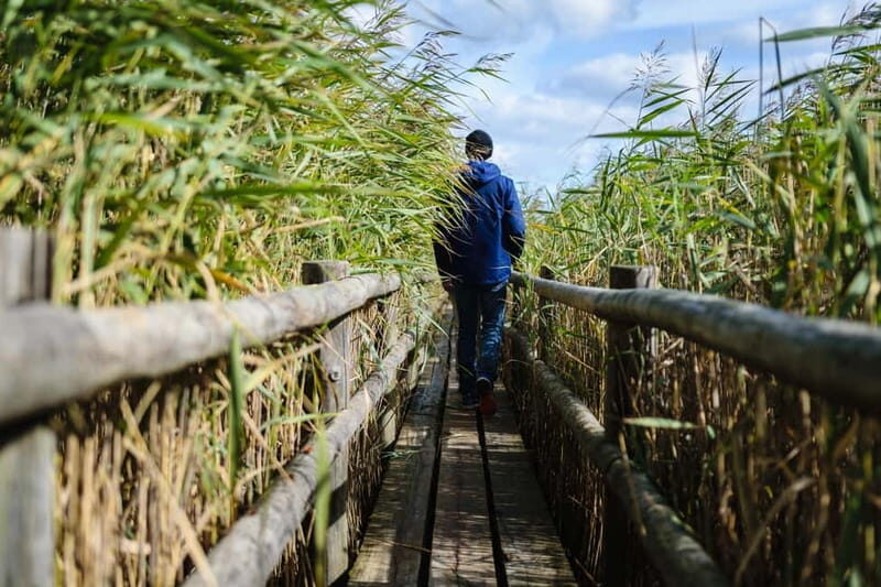 Kemeri National Park & Baltic Seaside Tour Bog Boardwalk - An In-Depth Look at the Tour Experience