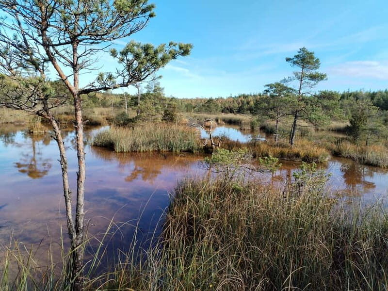 Kemeri National park Hiking trail (16 km) - Key Points