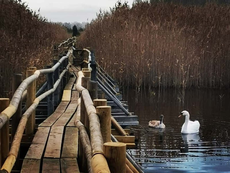 Kemeri National Park Outdoor Tour - Key Points