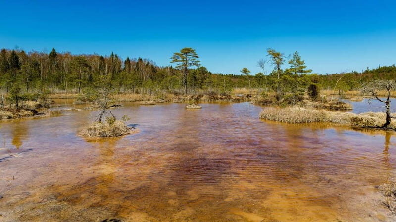 Kemeri National Park Outdoor Tour - The Sulfur Trail: A Natural Phenomenon