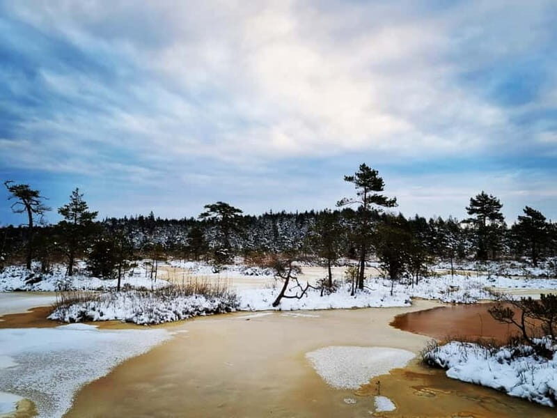 Kemeri National Park Outdoor Tour - Overall Value and Pricing
