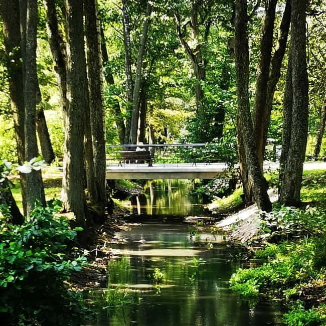 Kemeri National Park Outdoor Tour - Final Thoughts