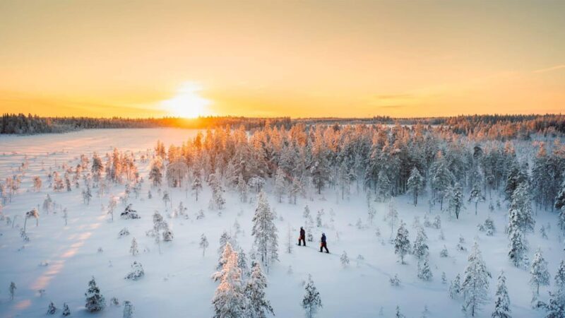 Kemi-Tornio: Nature tour with snowshoes - An Introduction to the Snowshoe Adventure in Lapland