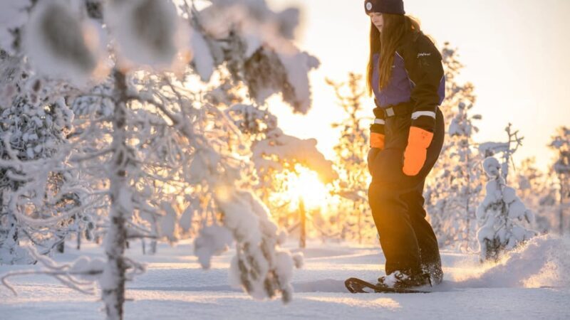 Kemi-Tornio: Nature tour with snowshoes - What’s Included and How It Adds Value
