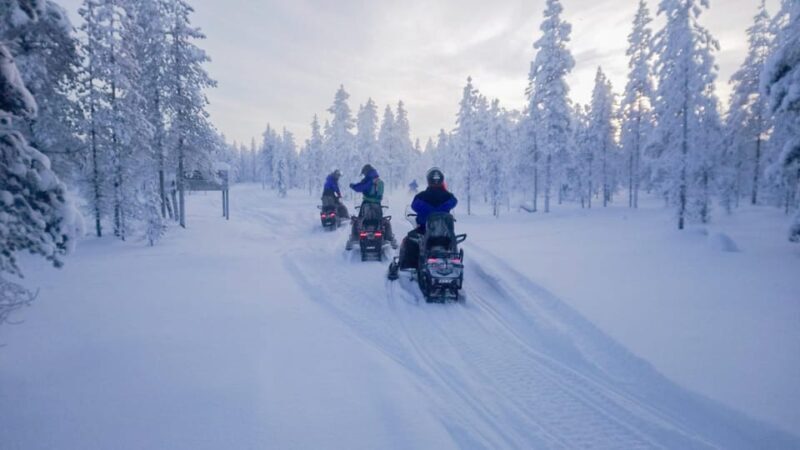 Kemi-Tornio: Snowmobile Forest Safari w/ Hot Drink & Snacks - Key Points