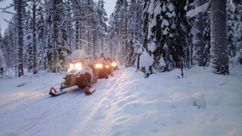 Kemi-Tornio: Snowmobile Forest Safari w/ Hot Drink & Snacks - The Sum Up