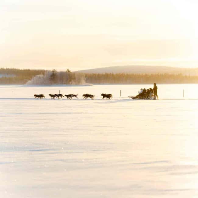 Kemijärvi: Insider 10 km Self-Drive Husky Sledding Adventure - Key Points