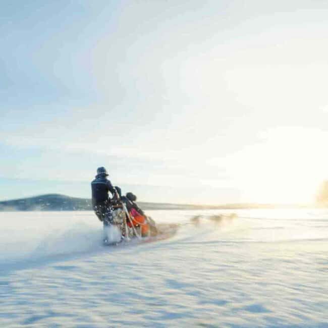 Kemijärvi: Insider Husky Self-Drive 5km Safari - An In-Depth Look at the Husky Safari Experience