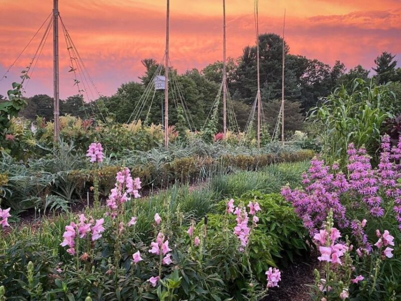 Kennett Square: Longwood Gardens Admission Ticket - The Experience: What to Expect