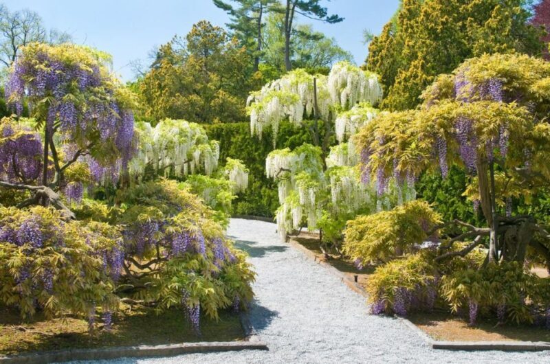 Kennett Square: Longwood Gardens Admission Ticket - Who Will Love This Experience?