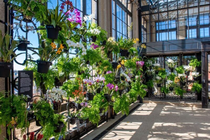 Kennett Square: Longwood Gardens Admission Ticket - The Sum Up