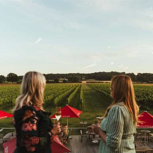 Kent: Balfour Vineyard Walk and Wine Tasting - The Experience: Who Will Love It?