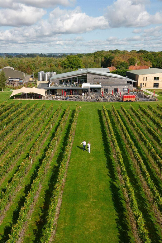 Kent: Balfour Vineyard Walk and Wine Tasting - The Sum Up
