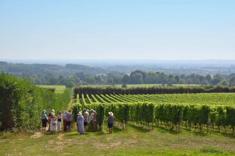 Kent: Yotes Court Vineyard Tour and Tasting - A Closer Look at the Yotes Court Vineyard Tour and Tasting Experience