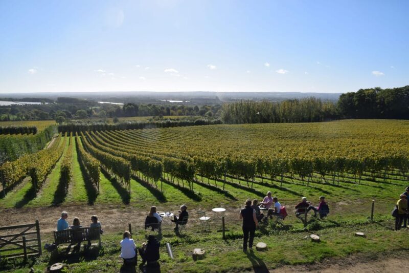 Kent: Yotes Court Vineyard Tour and Tasting - The Self-Guided Tasting: A Relaxed Finale