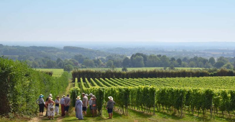 Kent: Yotes Court Vineyard Tour and Tasting - Who Will Love This Vineyard Tour?