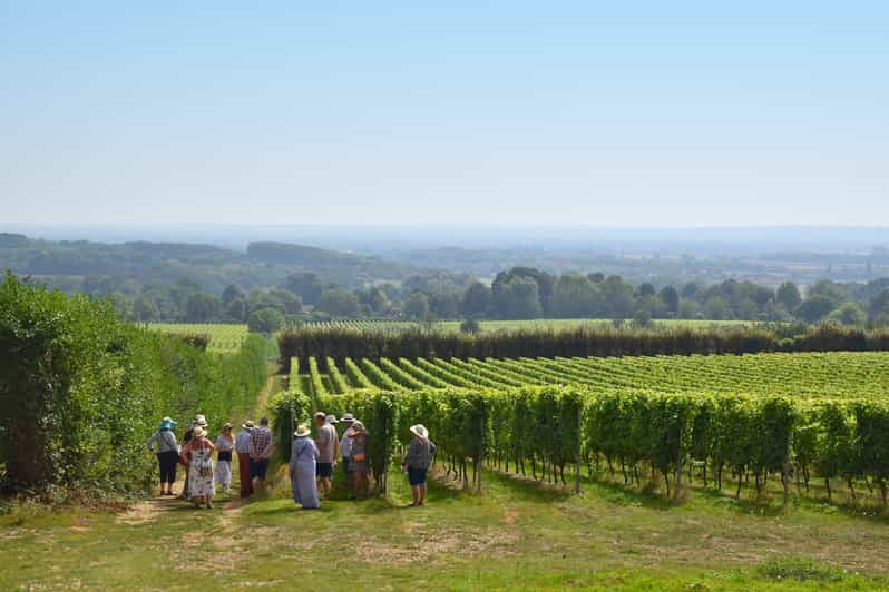 Kent: Yotes Court Vineyard Tour and Tasting - The Sum Up