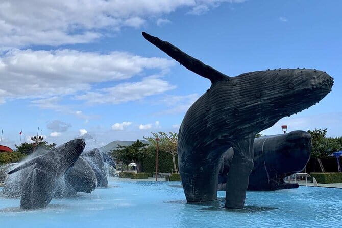 Kenting Aquarium Admission Ticket in Taiwan - A Closer Look at Kenting Aquarium: What to Expect