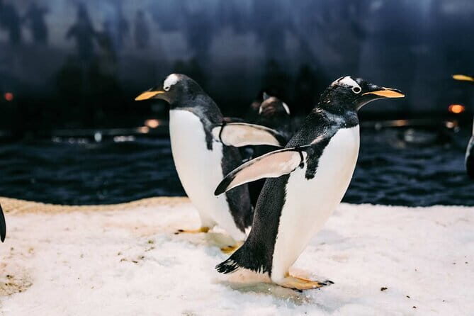 Kenting Aquarium Admission Ticket in Taiwan - Accessibility and Location