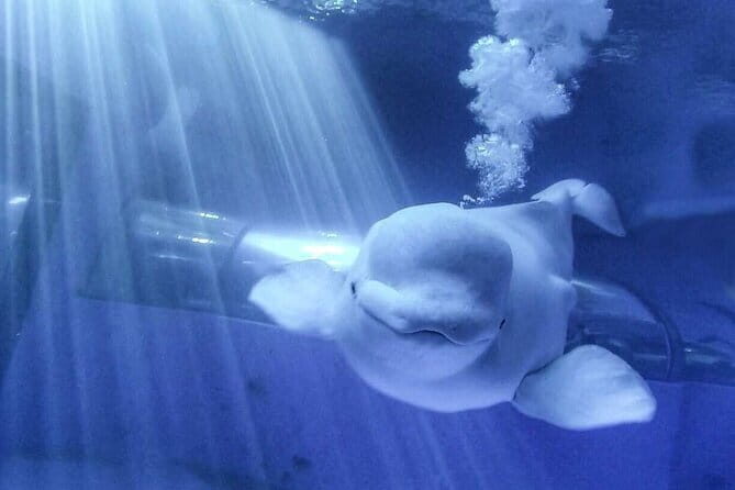 Kenting Aquarium Admission Ticket in Taiwan - Exhibits and Key Attractions