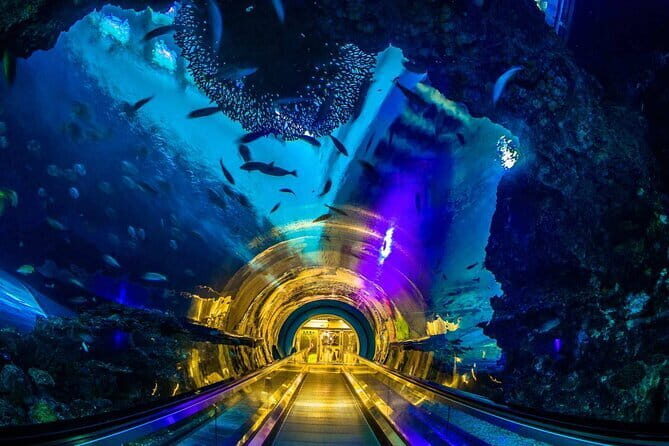 Kenting Aquarium Admission Ticket in Taiwan - The Educational and Conservation Message