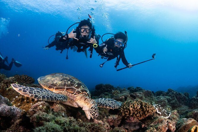 Kenting, TaiwanPADI Basic Diving License CourseTaiwan Diving Open Water Course - The Location: Why Kenting?
