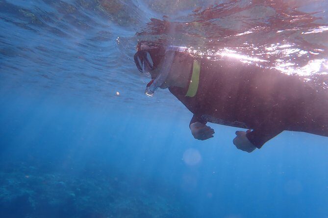 Kenting, TaiwanSnorkeling Free underwater photography One-on-one with instructorTaiwan Diving Snorkeling - Who Should Consider This Tour?