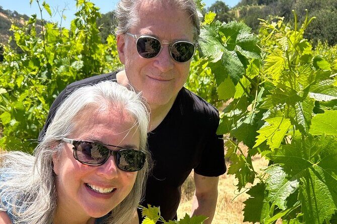 Kenwood Wine Country Electric Trike 3 Hours Tour - A Deep Dive into the Kenwood Electric Trike Tour