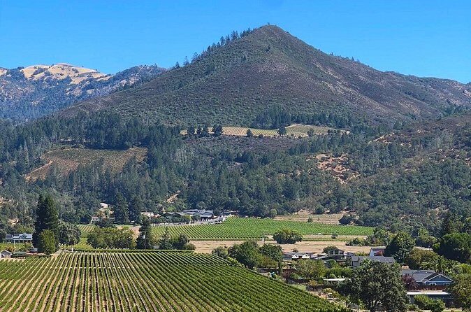 Kenwood Wine Country Electric Trike 3 Hours Tour - Final Thoughts