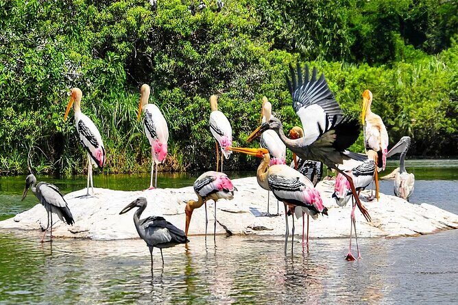 Keoladeo Birds Park Tour From Agra To Jaipur Including Entry - The Practical Details: What to Expect