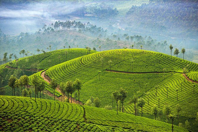 Kerala and Tamil Nadul Dreamscape Journey (South India) - Key Points