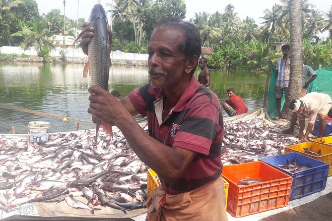 Kerala Backwater Cruise in Exclusive Water Taxi Explores Narrows - Who Should Consider This Tour?