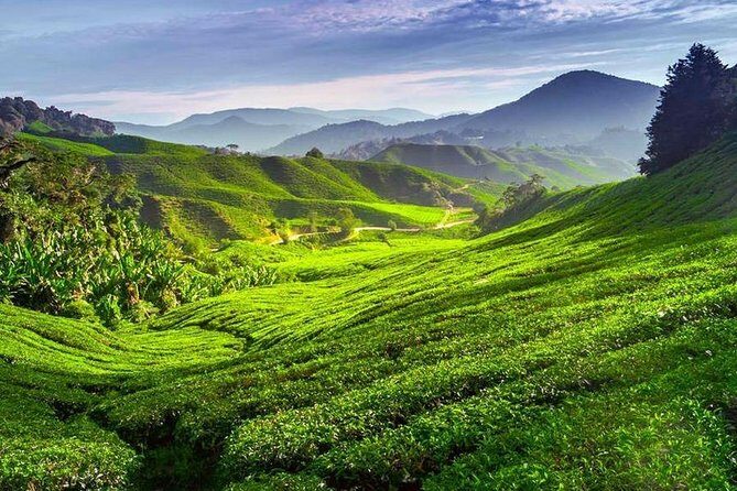 Kerala Honeymoon Special Package with Private Houseboat - Final Thoughts: Who Will Love This Tour?