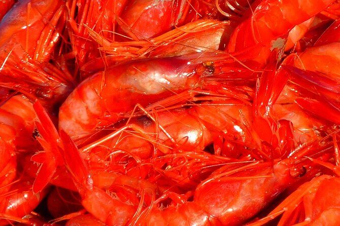 Kerala Sea Food Trail: An Excursion To Cherai Beach - Who Should Consider This Tour?