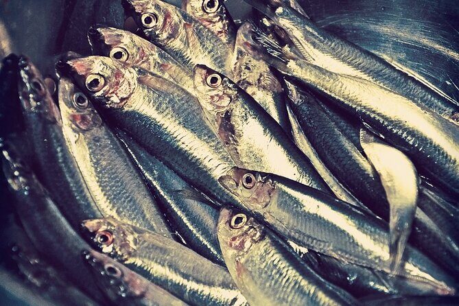 Kerala Sea Food Trail: An Excursion To Cherai Beach - FAQs