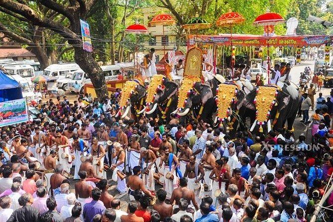 Kerala's Virgin, Prosperous Villages 1 Day Tour Free Pick up&Drop - Key Points
