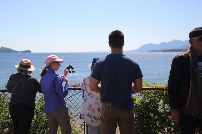 Ketchikan: Alaska Native Cultural and Scenic Shore Excursion - The Value of a Guided Small-Group Tour