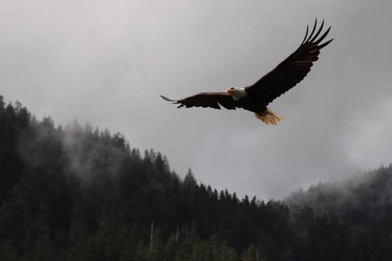 Ketchikan: Alaska Native Cultural and Scenic Shore Excursion - FAQ