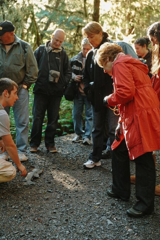 Ketchikan: Alaska Rainforest Sanctuary and Totem Park Walk - Key Points