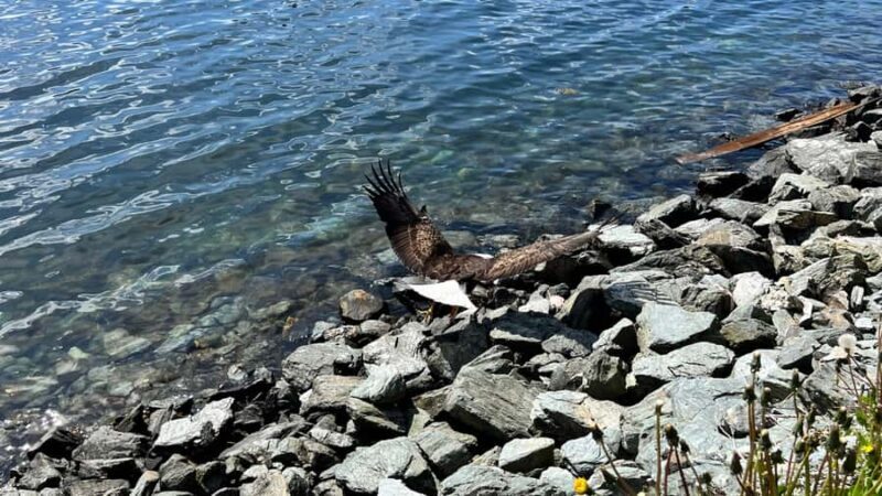 Ketchikan: City Tour, Saxman Village, & Salmon Tasting - Exploring Ketchikan in a Compact Package