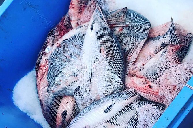 Ketchikan Fishing Charter - The Value of This Fishing Charter
