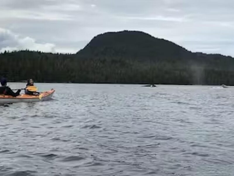 Ketchikan: Kayak Eco-Tour - Final Thoughts