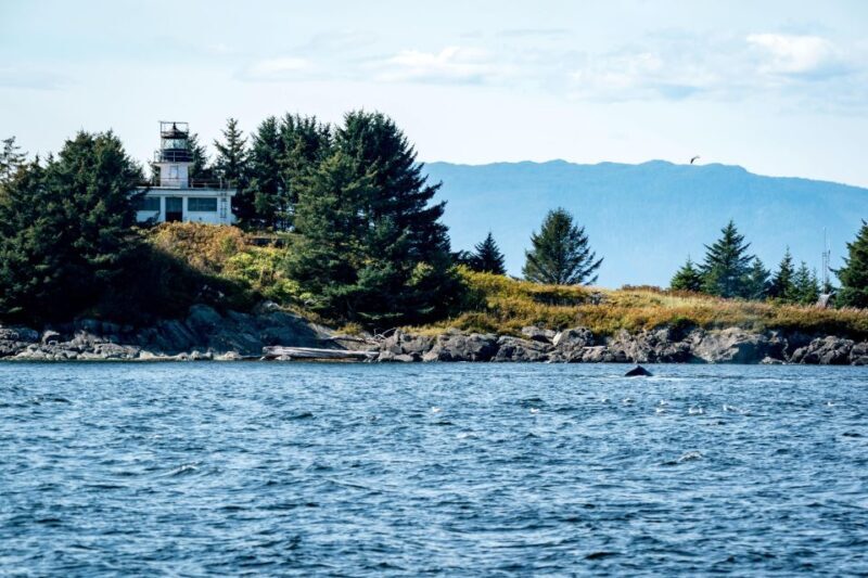 Ketchikan: Lighthouse, Totems & Eagles Excursion - Who Should Consider This Tour?