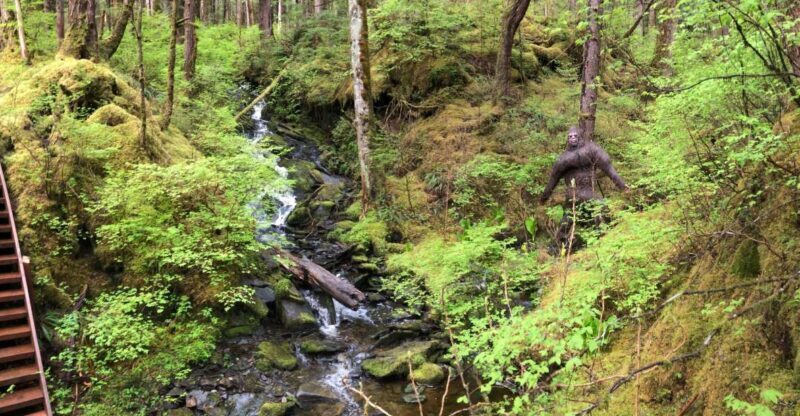 Ketchikan: Tongass Forest Alaska Bigfoot ATV Ride and Hike - A Detailed Look at the Tour