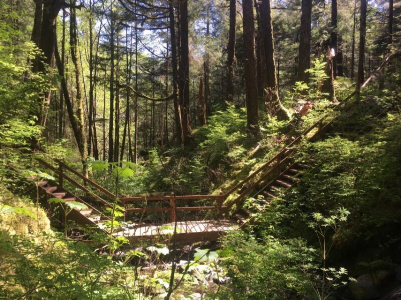 Ketchikan: Tongass Forest Alaska Bigfoot ATV Ride and Hike - Frequently Asked Questions